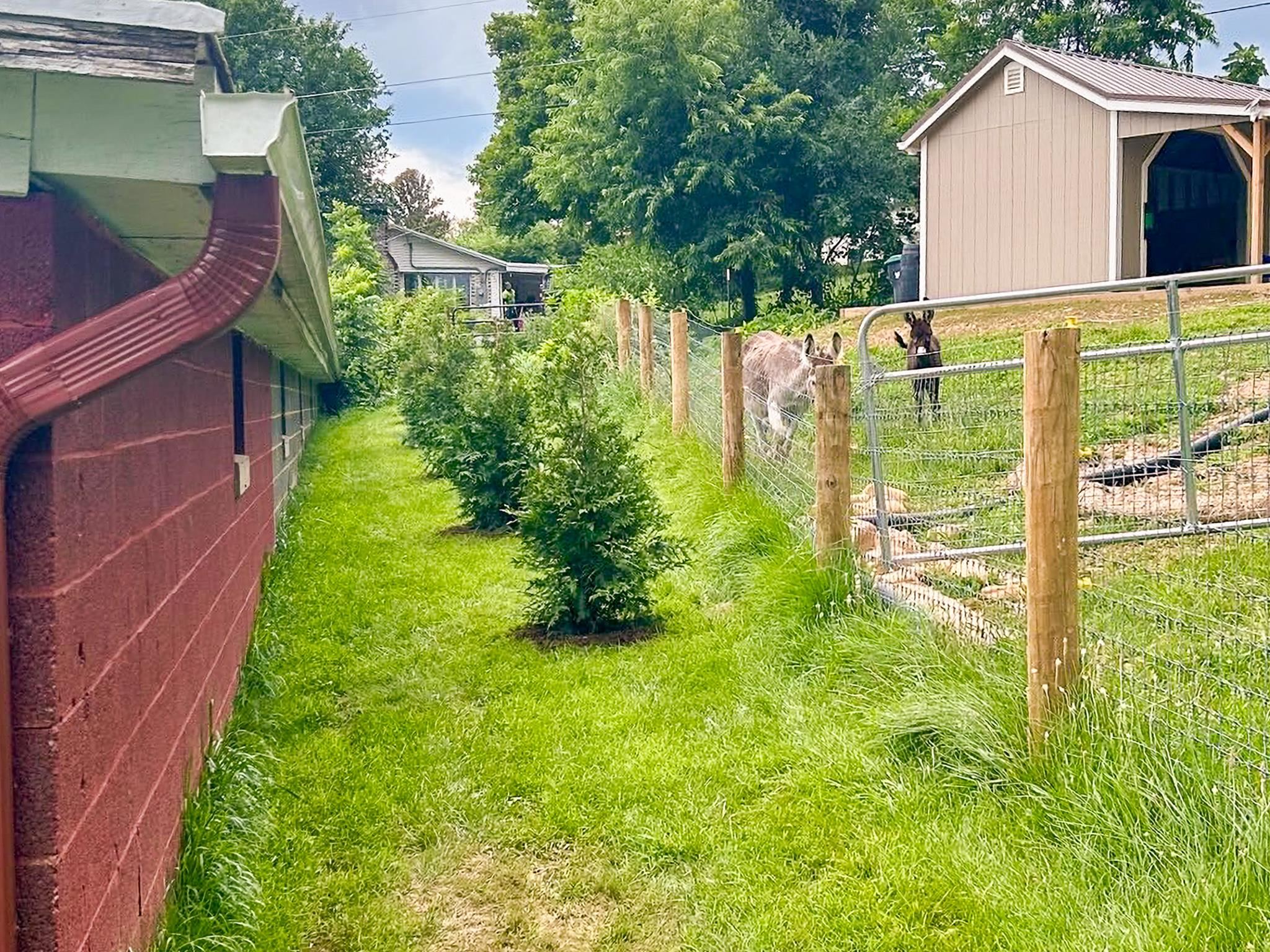 3113 WINDY HEIGHTS LN, ROCKINGHAM, Virginia 22802, 3 Bedrooms Bedrooms, ,1 BathroomBathrooms,Residential,3113 WINDY HEIGHTS LN,673056 MLS # 673056