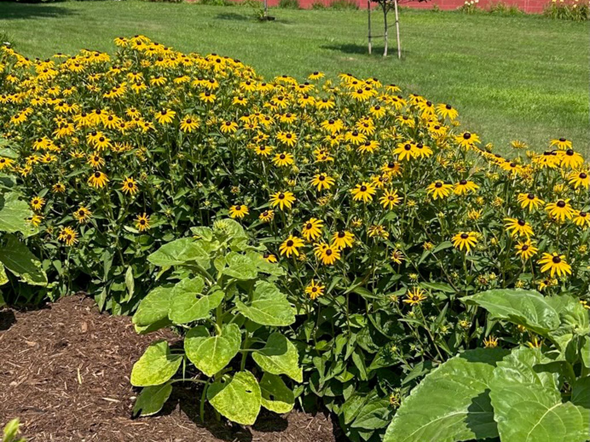 3113 WINDY HEIGHTS LN, ROCKINGHAM, Virginia 22802, 3 Bedrooms Bedrooms, ,1 BathroomBathrooms,Residential,3113 WINDY HEIGHTS LN,673056 MLS # 673056