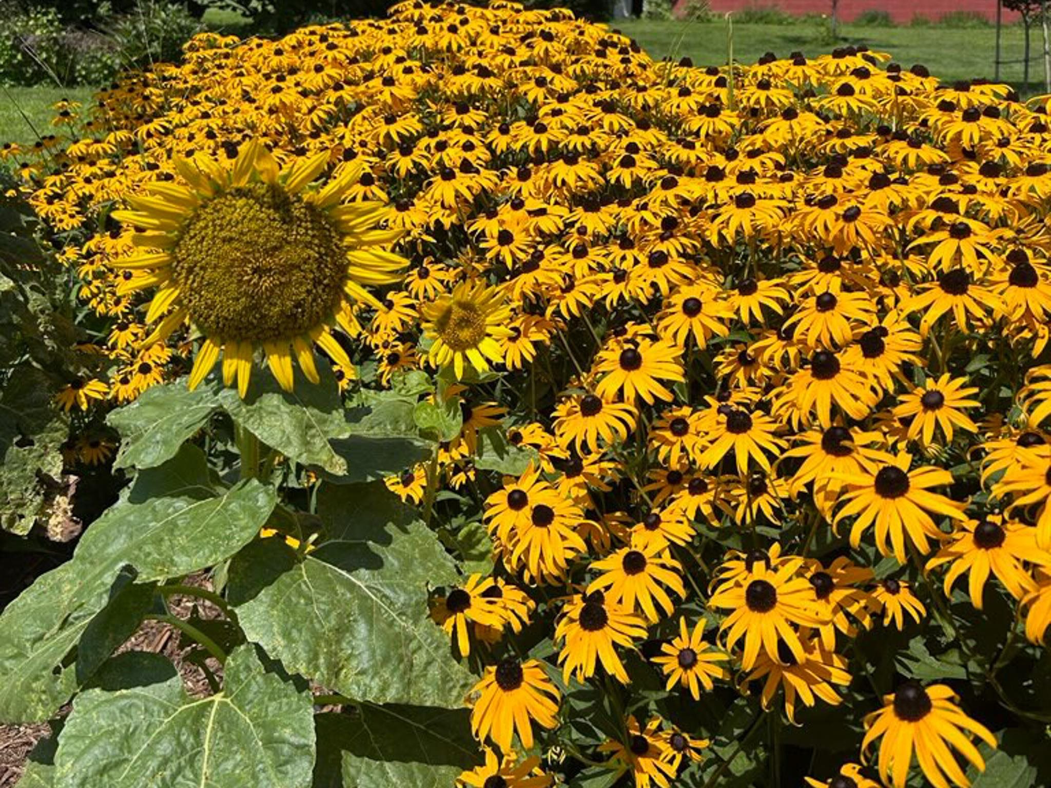 3113 WINDY HEIGHTS LN, ROCKINGHAM, Virginia 22802, 3 Bedrooms Bedrooms, ,1 BathroomBathrooms,Residential,3113 WINDY HEIGHTS LN,673056 MLS # 673056