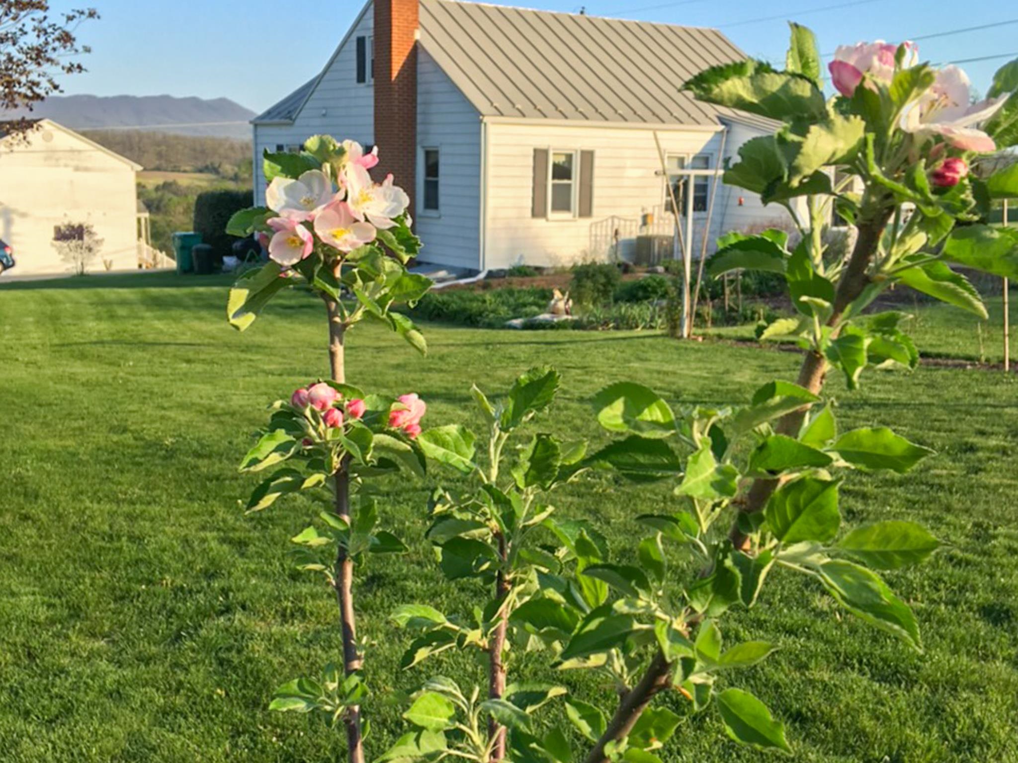 3113 WINDY HEIGHTS LN, ROCKINGHAM, Virginia 22802, 3 Bedrooms Bedrooms, ,1 BathroomBathrooms,Residential,3113 WINDY HEIGHTS LN,673056 MLS # 673056