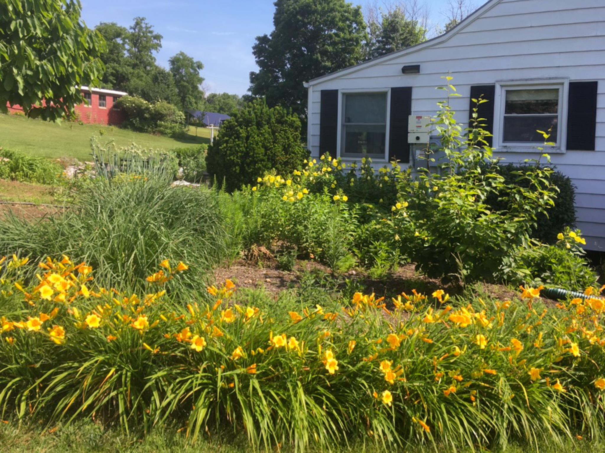 3113 WINDY HEIGHTS LN, ROCKINGHAM, Virginia 22802, 3 Bedrooms Bedrooms, ,1 BathroomBathrooms,Residential,3113 WINDY HEIGHTS LN,673056 MLS # 673056