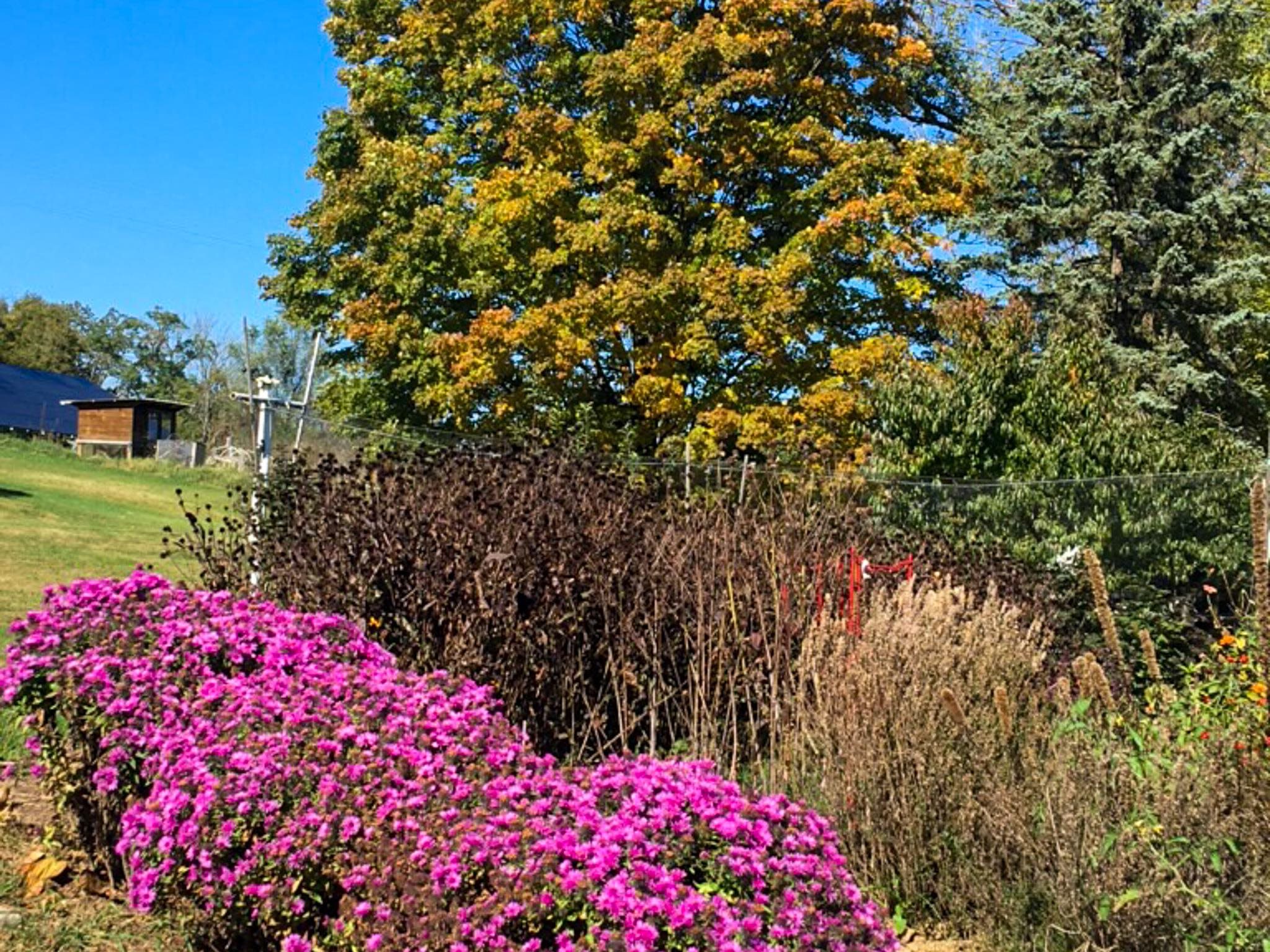 3113 WINDY HEIGHTS LN, ROCKINGHAM, Virginia 22802, 3 Bedrooms Bedrooms, ,1 BathroomBathrooms,Residential,3113 WINDY HEIGHTS LN,673056 MLS # 673056