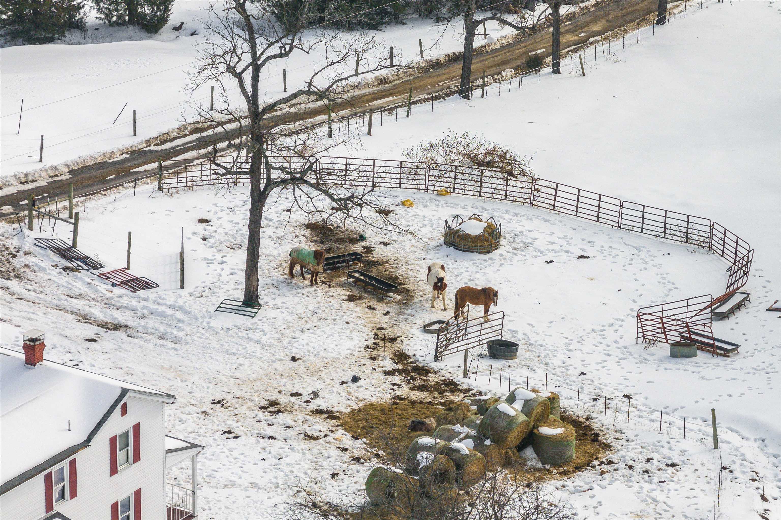 1894 HAWKSBILL RD, MCGAHEYSVILLE, Virginia 22840, 4 Bedrooms Bedrooms, ,2 BathroomsBathrooms,Residential,1894 HAWKSBILL RD,673062 MLS # 673062