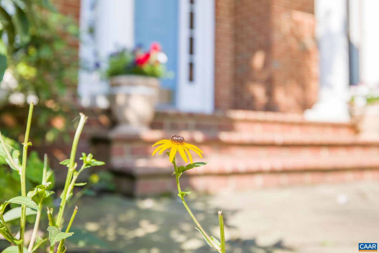 2420 PENDOWER LN, KESWICK, Virginia 22947, 5 Bedrooms Bedrooms, ,4 BathroomsBathrooms,Residential,For sale,2420 PENDOWER LN,672888 MLS # 672888