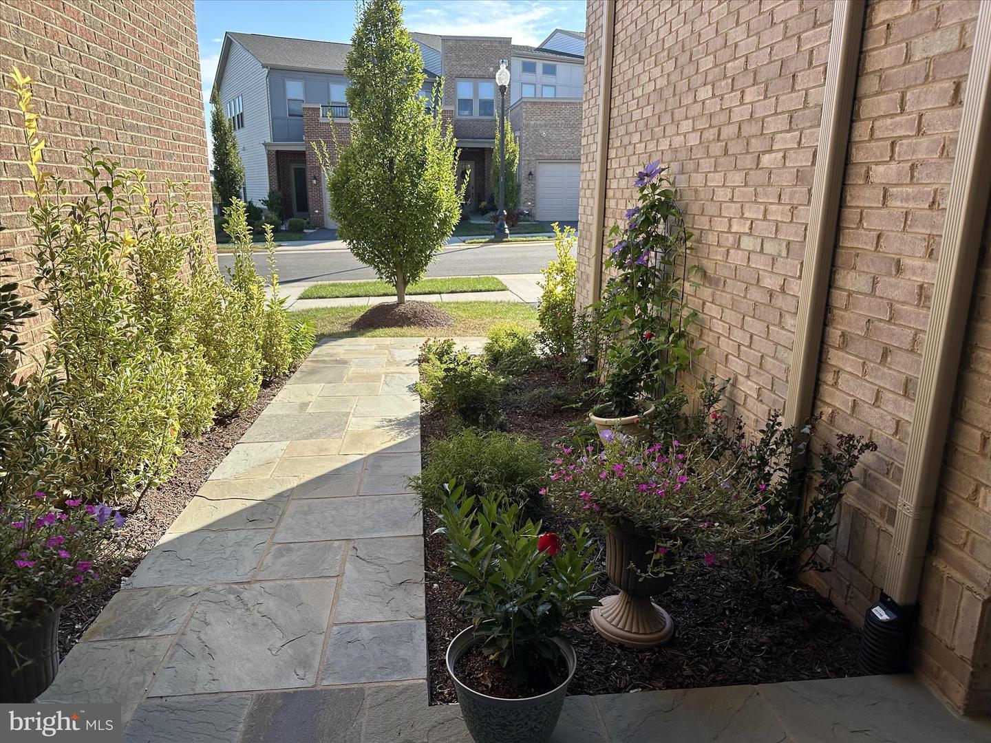 42798 MACBETH TER, ASHBURN, Virginia 20148, 4 Bedrooms Bedrooms, ,3 BathroomsBathrooms,Residential,For sale,42798 MACBETH TER,VALO2115042 MLS # VALO2115042 42798 MACBETH TER, ASHBURN, Virginia 20148, 4 Bedrooms Bedrooms, ,3 BathroomsBathrooms,Residential,For sale,42798 MACBETH TER,VALO2115042 MLS # VALO2115042