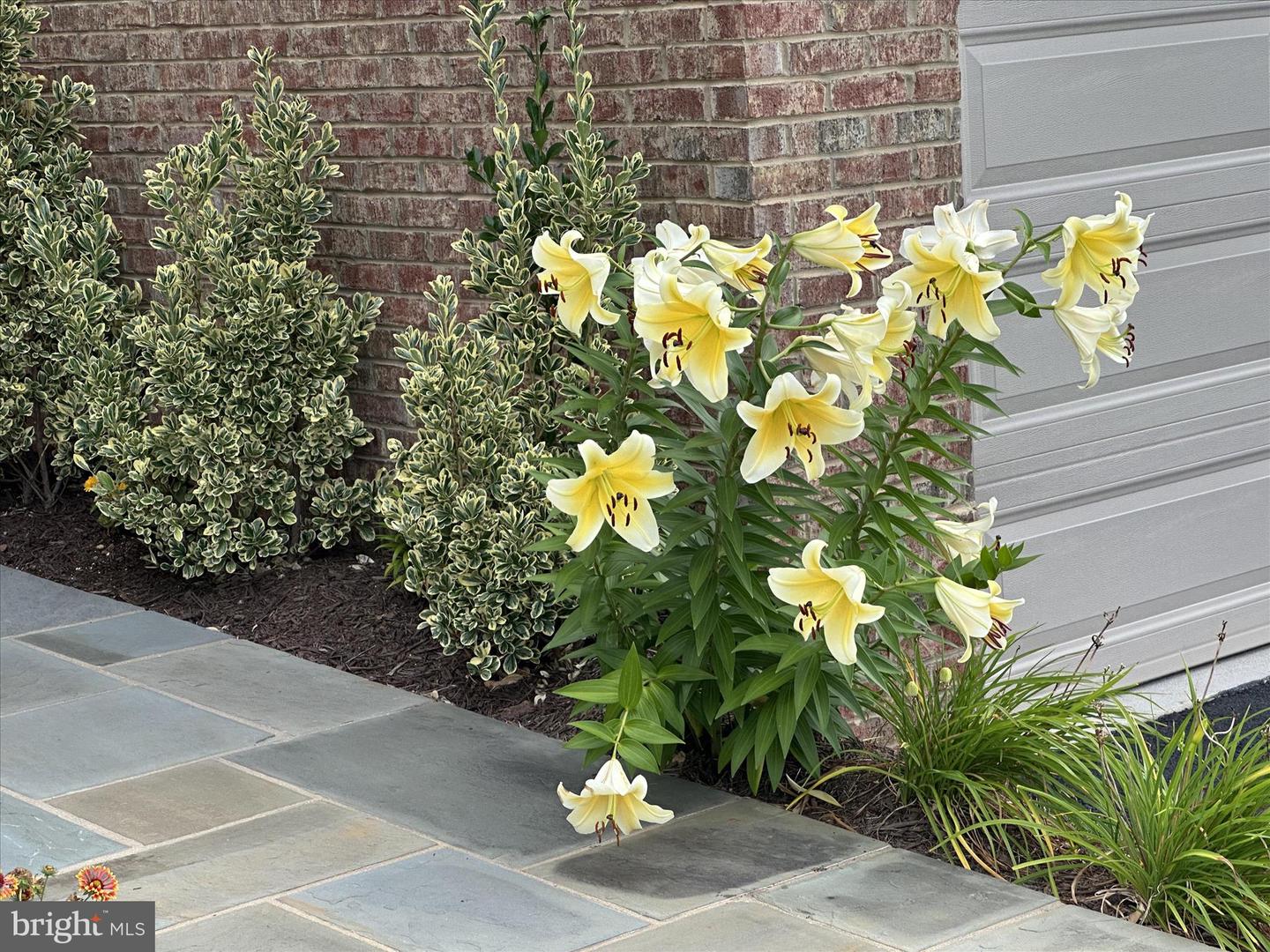 42798 MACBETH TER, ASHBURN, Virginia 20148, 4 Bedrooms Bedrooms, ,3 BathroomsBathrooms,Residential,For sale,42798 MACBETH TER,VALO2115042 MLS # VALO2115042 42798 MACBETH TER, ASHBURN, Virginia 20148, 4 Bedrooms Bedrooms, ,3 BathroomsBathrooms,Residential,For sale,42798 MACBETH TER,VALO2115042 MLS # VALO2115042