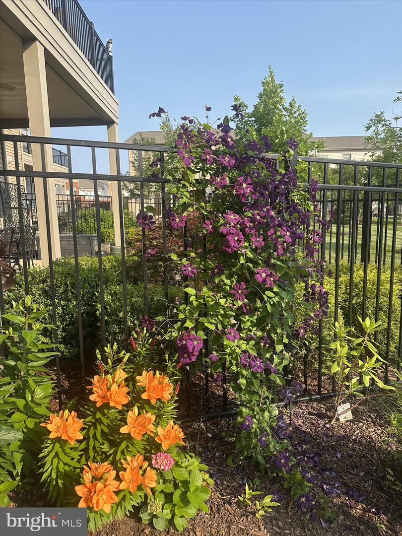 42798 MACBETH TER, ASHBURN, Virginia 20148, 4 Bedrooms Bedrooms, ,3 BathroomsBathrooms,Residential,For sale,42798 MACBETH TER,VALO2115042 MLS # VALO2115042 42798 MACBETH TER, ASHBURN, Virginia 20148, 4 Bedrooms Bedrooms, ,3 BathroomsBathrooms,Residential,For sale,42798 MACBETH TER,VALO2115042 MLS # VALO2115042