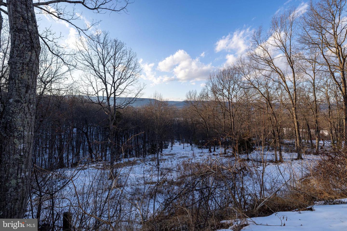 99 LAUREL LN, FORT VALLEY, Virginia 22652, 3 Bedrooms Bedrooms, ,1 BathroomBathrooms,Residential,For sale,99 LAUREL LN,VASH2013530 MLS # VASH2013530