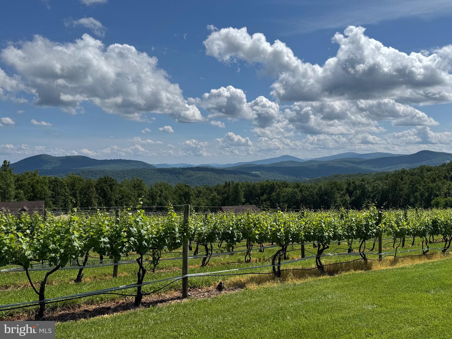 215 BUCK RD, LINDEN, Virginia 22642, 3 Bedrooms Bedrooms, ,3 BathroomsBathrooms,Residential,For sale,215 BUCK RD,VAWR2013368 MLS # VAWR2013368