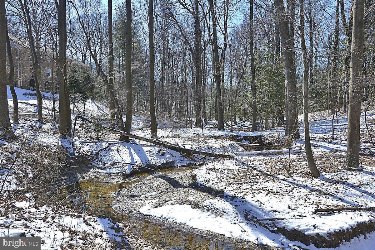 5902 COVE LANDING RD #304, BURKE, Virginia 22015, 2 Bedrooms Bedrooms, ,2 BathroomsBathrooms,Residential,For sale,5902 COVE LANDING RD #304,VAFX2290342 MLS # VAFX2290342