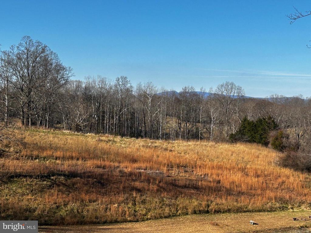 436 HINSONS FORD RD, AMISSVILLE, Virginia, ,Residential,436 HINSONS FORD RD,VARP2002476 MLS # VARP2002476 436 HINSONS FORD RD, AMISSVILLE, Virginia, ,Residential,436 HINSONS FORD RD,VARP2002476 MLS # VARP2002476