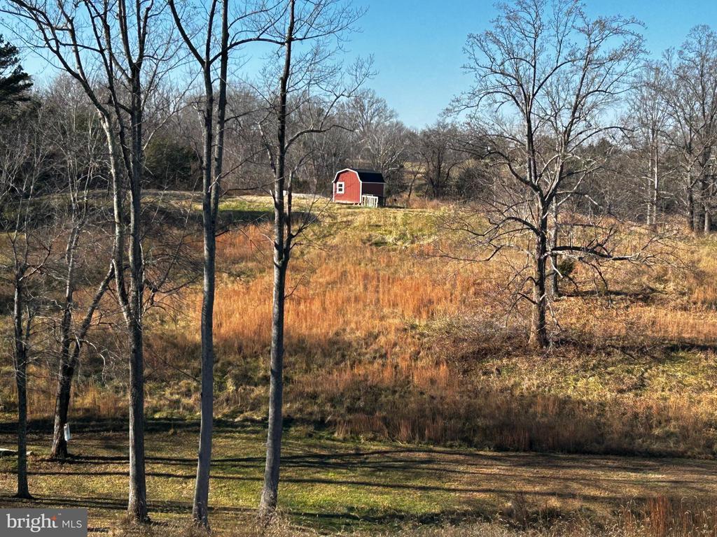 436 HINSONS FORD RD, AMISSVILLE, Virginia, ,Residential,436 HINSONS FORD RD,VARP2002476 MLS # VARP2002476 436 HINSONS FORD RD, AMISSVILLE, Virginia, ,Residential,436 HINSONS FORD RD,VARP2002476 MLS # VARP2002476