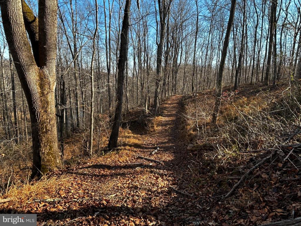 436 HINSONS FORD RD, AMISSVILLE, Virginia, ,Residential,436 HINSONS FORD RD,VARP2002476 MLS # VARP2002476 436 HINSONS FORD RD, AMISSVILLE, Virginia, ,Residential,436 HINSONS FORD RD,VARP2002476 MLS # VARP2002476