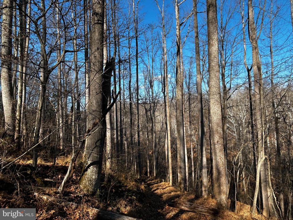 436 HINSONS FORD RD, AMISSVILLE, Virginia, ,Residential,436 HINSONS FORD RD,VARP2002476 MLS # VARP2002476 436 HINSONS FORD RD, AMISSVILLE, Virginia, ,Residential,436 HINSONS FORD RD,VARP2002476 MLS # VARP2002476