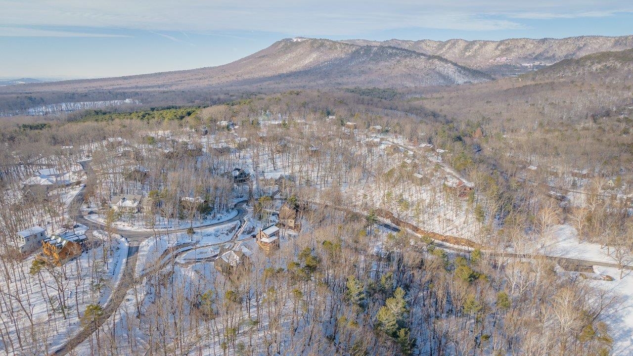 2167 LANIER LN, MCGAHEYSVILLE, Virginia 22840, ,Land,2167 LANIER LN,673236 MLS # 673236