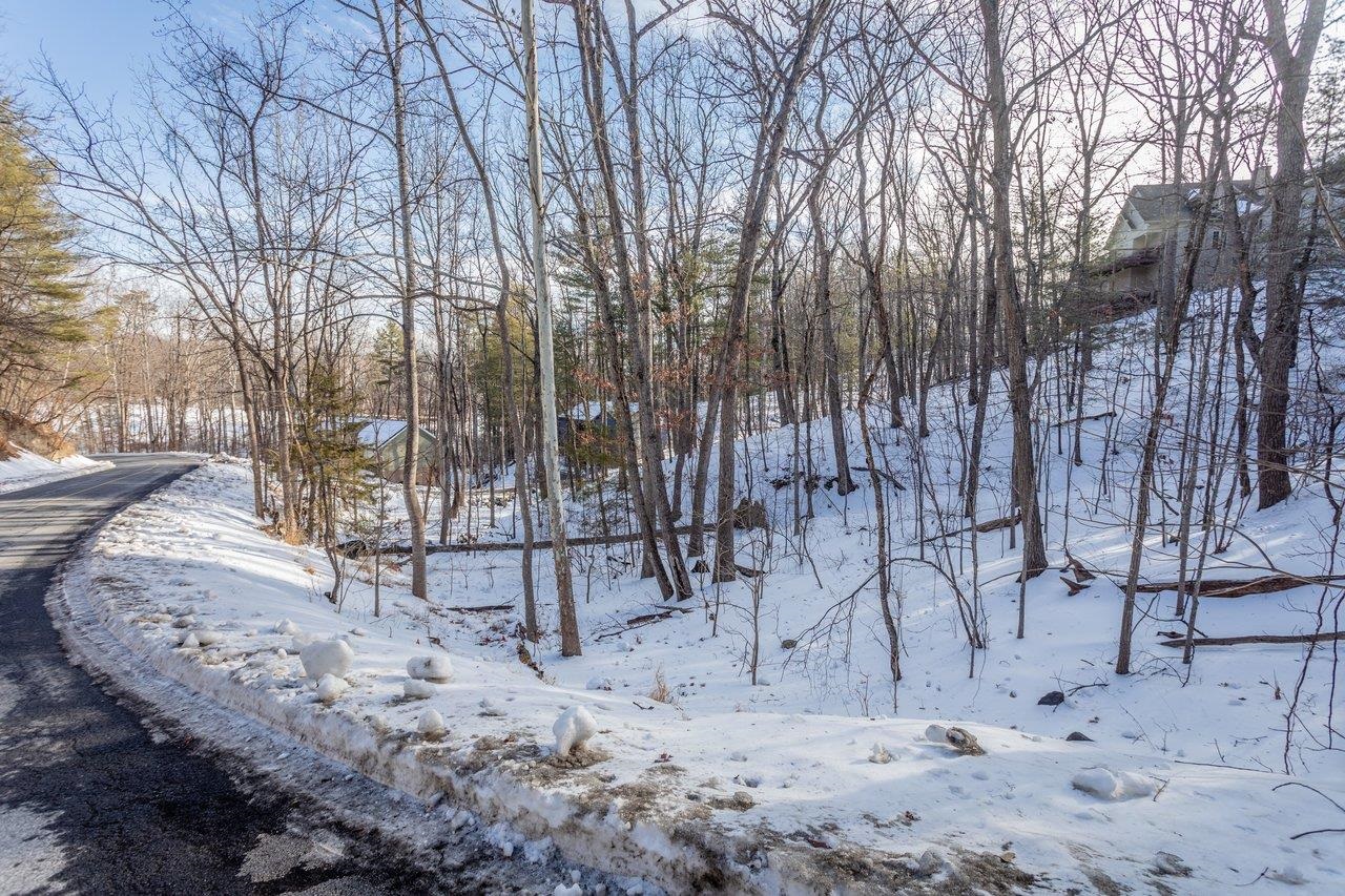 2167 LANIER LN, MCGAHEYSVILLE, Virginia 22840, ,Land,2167 LANIER LN,673236 MLS # 673236