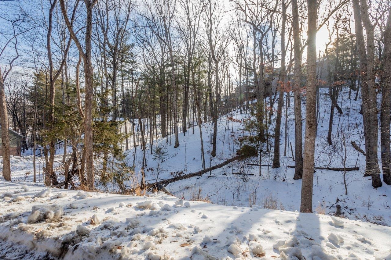 2167 LANIER LN, MCGAHEYSVILLE, Virginia 22840, ,Land,2167 LANIER LN,673236 MLS # 673236