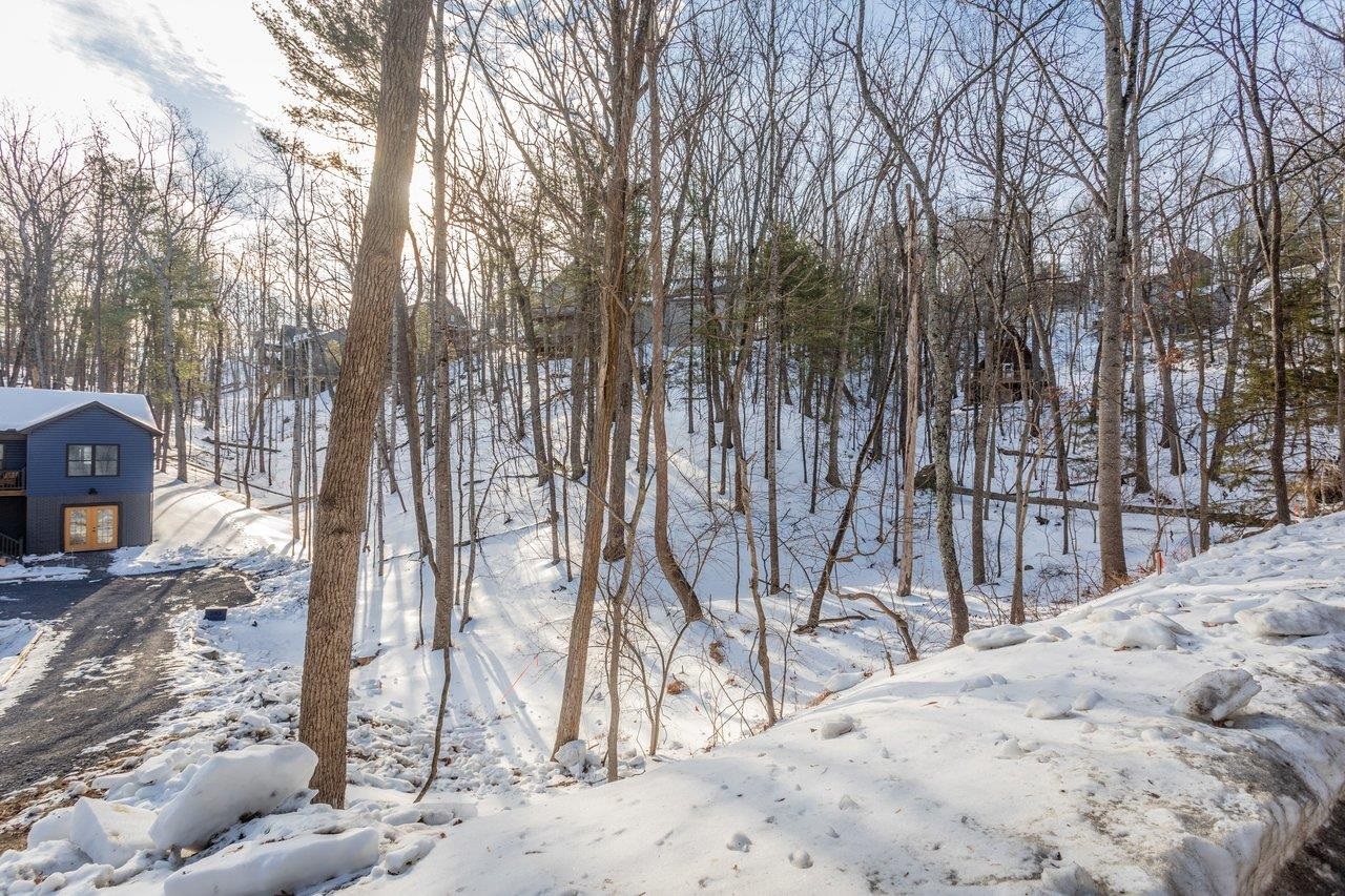 2167 LANIER LN, MCGAHEYSVILLE, Virginia 22840, ,Land,2167 LANIER LN,673236 MLS # 673236