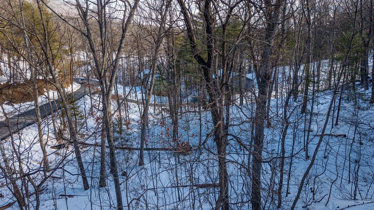 2167 LANIER LN, MCGAHEYSVILLE, Virginia 22840, ,Land,2167 LANIER LN,673236 MLS # 673236