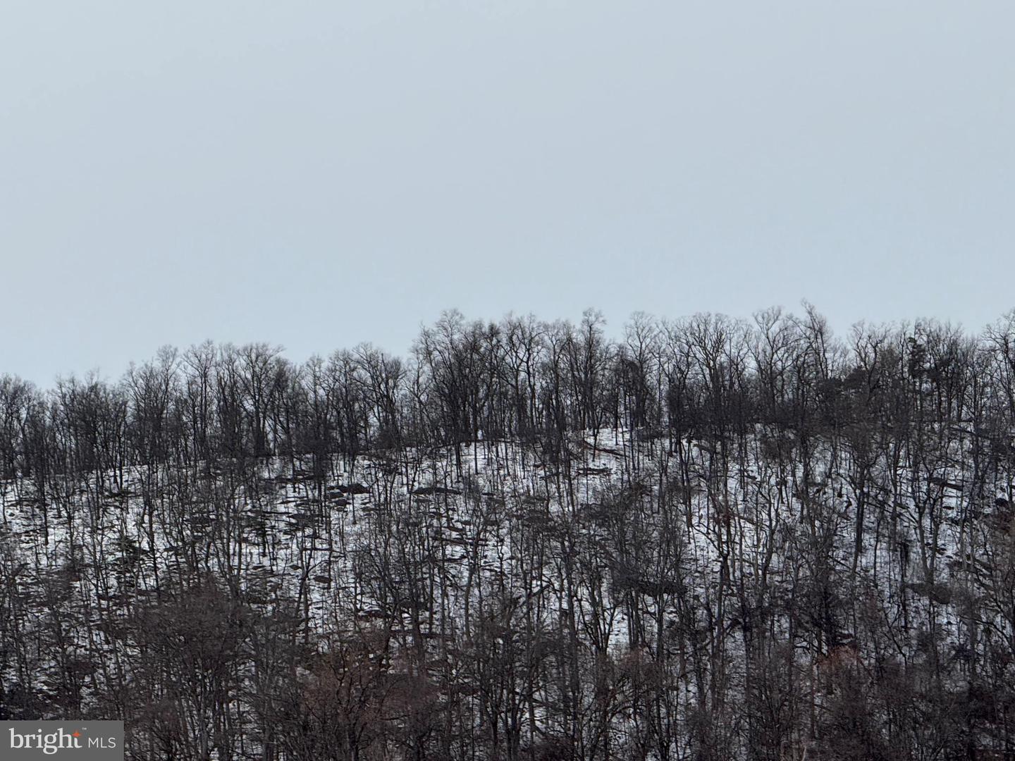 15.63 ACRES, 52-2-B, WINCHESTER, Virginia 22603, ,Land,For sale,15.63 ACRES, 52-2-B,VAFV2039232 MLS # VAFV2039232 15.63 ACRES, 52-2-B, WINCHESTER, Virginia 22603, ,Land,For sale,15.63 ACRES, 52-2-B,VAFV2039232 MLS # VAFV2039232