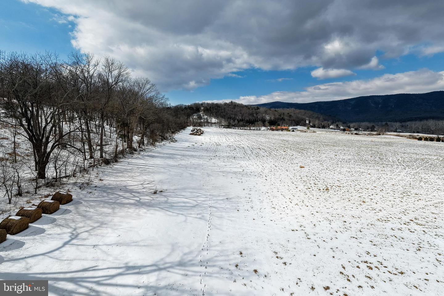 0 GOOD MILL RD, RILEYVILLE, Virginia 22650, ,Land,For sale,0 GOOD MILL RD,VAPA2006032 MLS # VAPA2006032