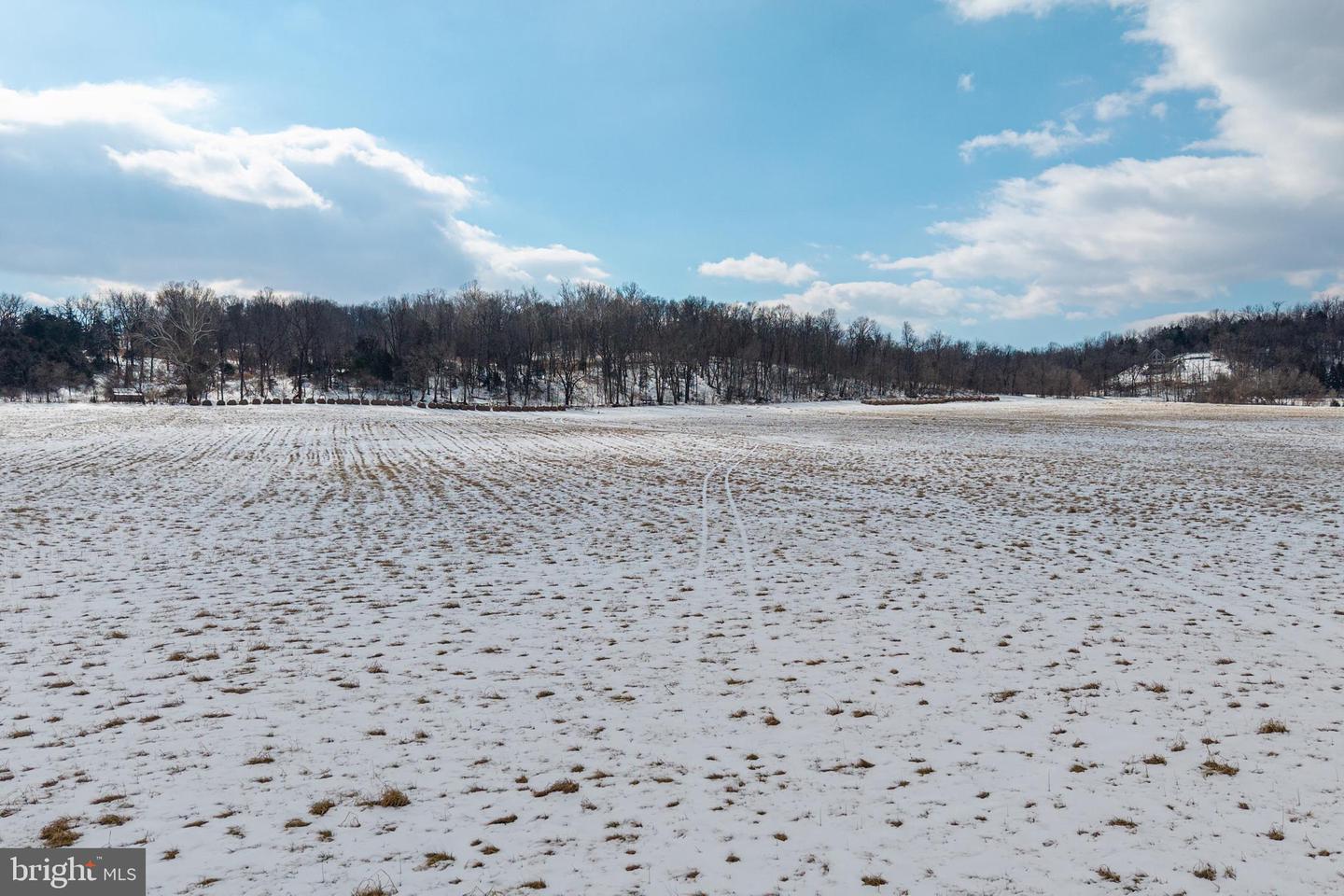 0 GOOD MILL RD, RILEYVILLE, Virginia 22650, ,Land,For sale,0 GOOD MILL RD,VAPA2006032 MLS # VAPA2006032