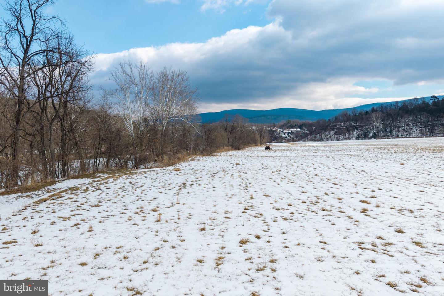 0 GOOD MILL RD, RILEYVILLE, Virginia 22650, ,Land,For sale,0 GOOD MILL RD,VAPA2006032 MLS # VAPA2006032