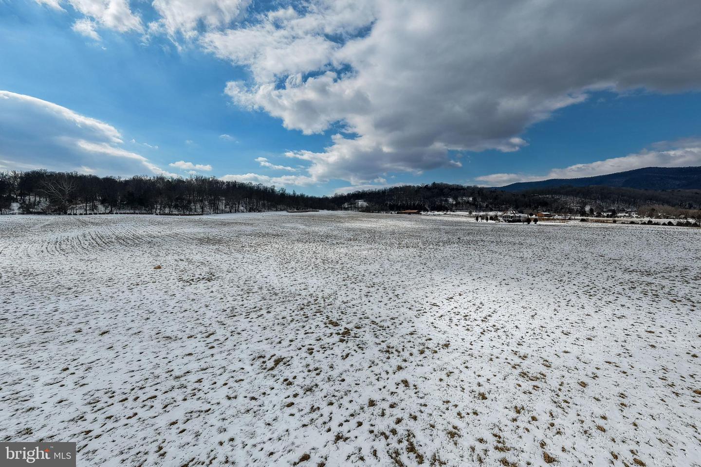 0 GOOD MILL RD, RILEYVILLE, Virginia 22650, ,Land,For sale,0 GOOD MILL RD,VAPA2006032 MLS # VAPA2006032