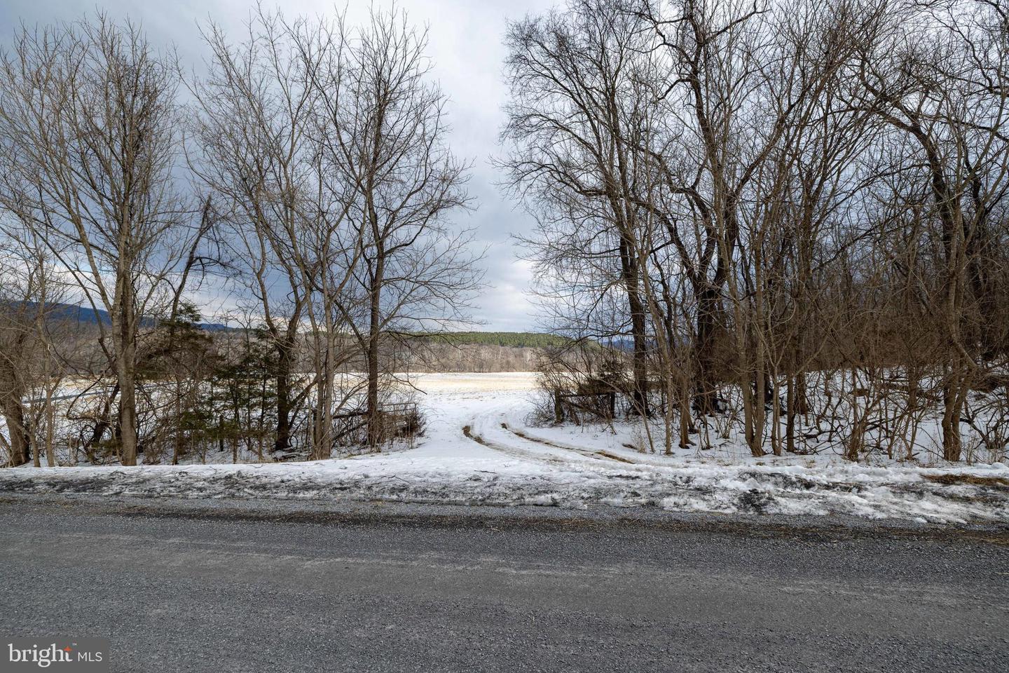 0 GOOD MILL RD, RILEYVILLE, Virginia 22650, ,Land,For sale,0 GOOD MILL RD,VAPA2006032 MLS # VAPA2006032