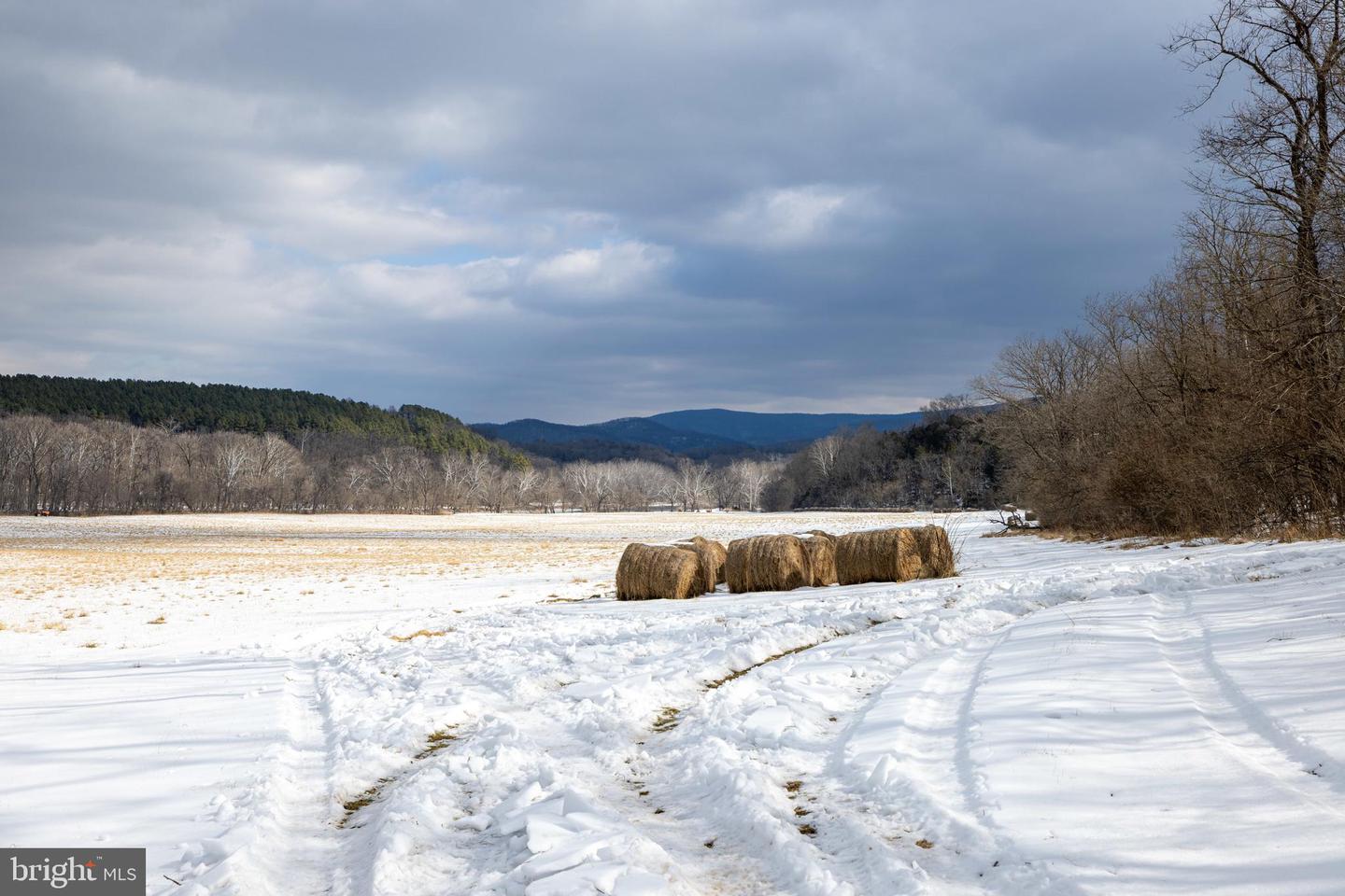 0 GOOD MILL RD, RILEYVILLE, Virginia 22650, ,Land,For sale,0 GOOD MILL RD,VAPA2006032 MLS # VAPA2006032