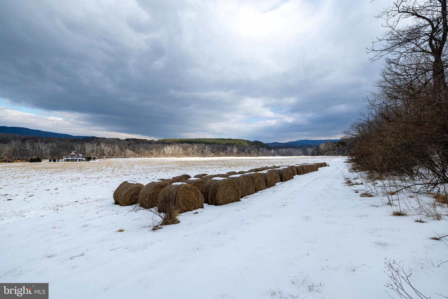 0 GOOD MILL RD, RILEYVILLE, Virginia 22650, ,Land,For sale,0 GOOD MILL RD,VAPA2006032 MLS # VAPA2006032