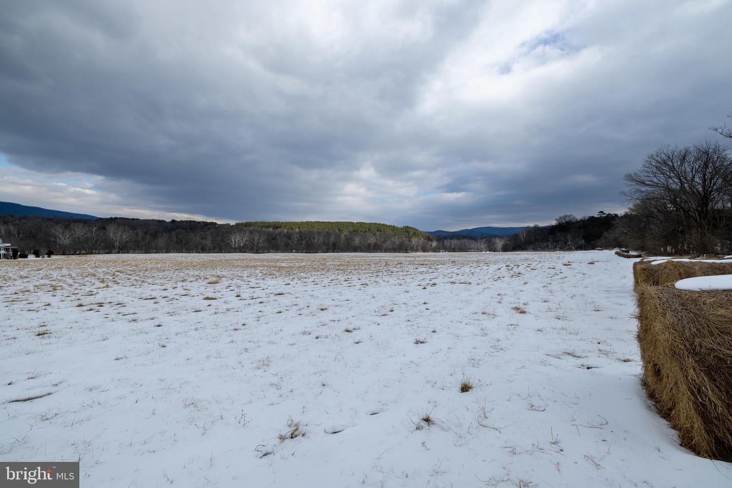 0 GOOD MILL RD, RILEYVILLE, Virginia 22650, ,Land,For sale,0 GOOD MILL RD,VAPA2006032 MLS # VAPA2006032