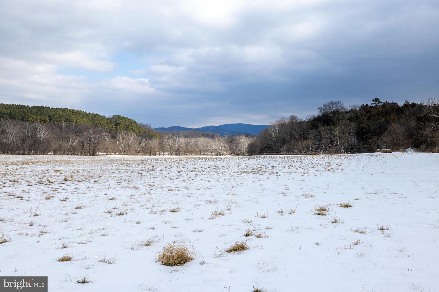 0 GOOD MILL RD, RILEYVILLE, Virginia 22650, ,Land,For sale,0 GOOD MILL RD,VAPA2006032 MLS # VAPA2006032