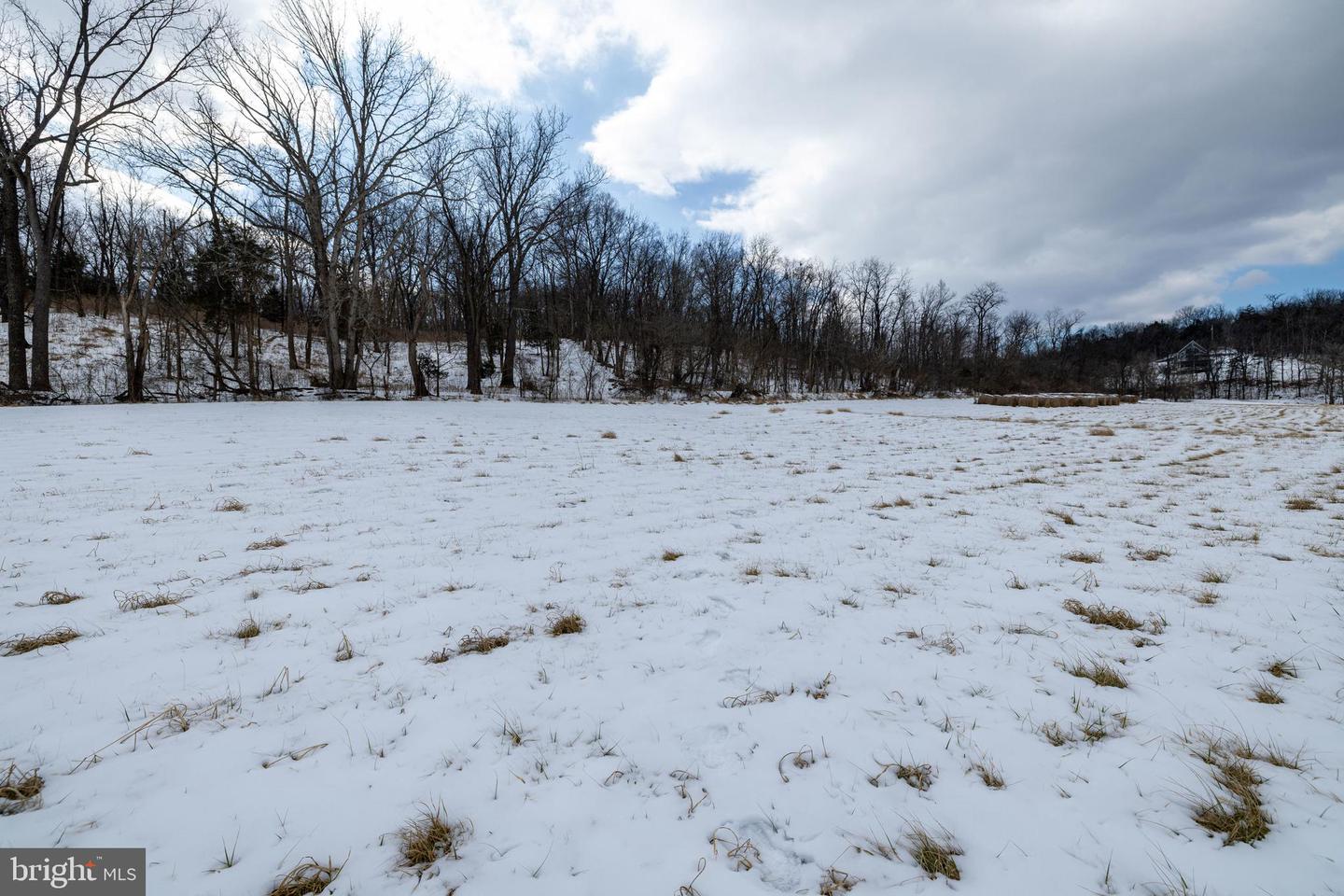 0 GOOD MILL RD, RILEYVILLE, Virginia 22650, ,Land,For sale,0 GOOD MILL RD,VAPA2006032 MLS # VAPA2006032