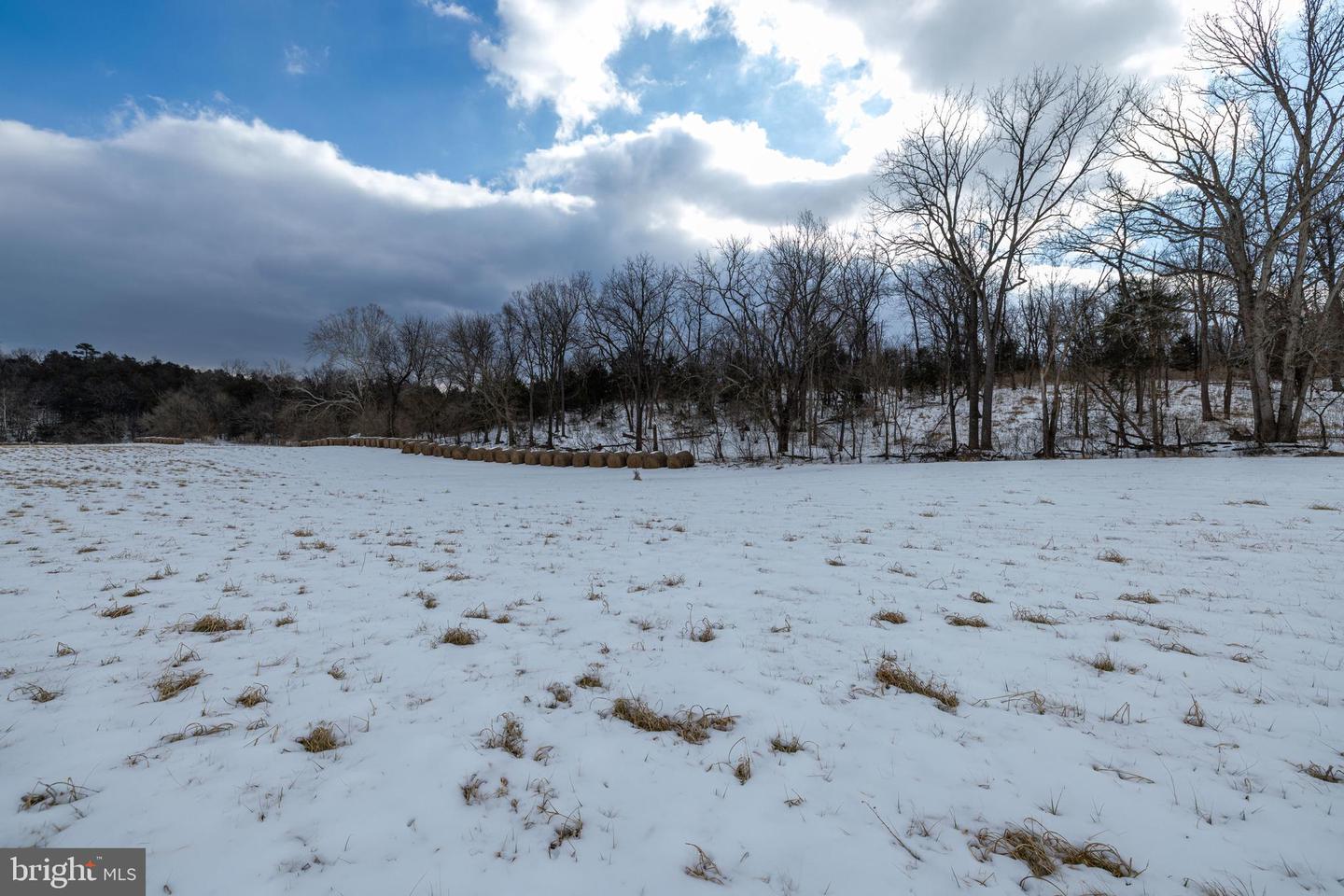 0 GOOD MILL RD, RILEYVILLE, Virginia 22650, ,Land,For sale,0 GOOD MILL RD,VAPA2006032 MLS # VAPA2006032