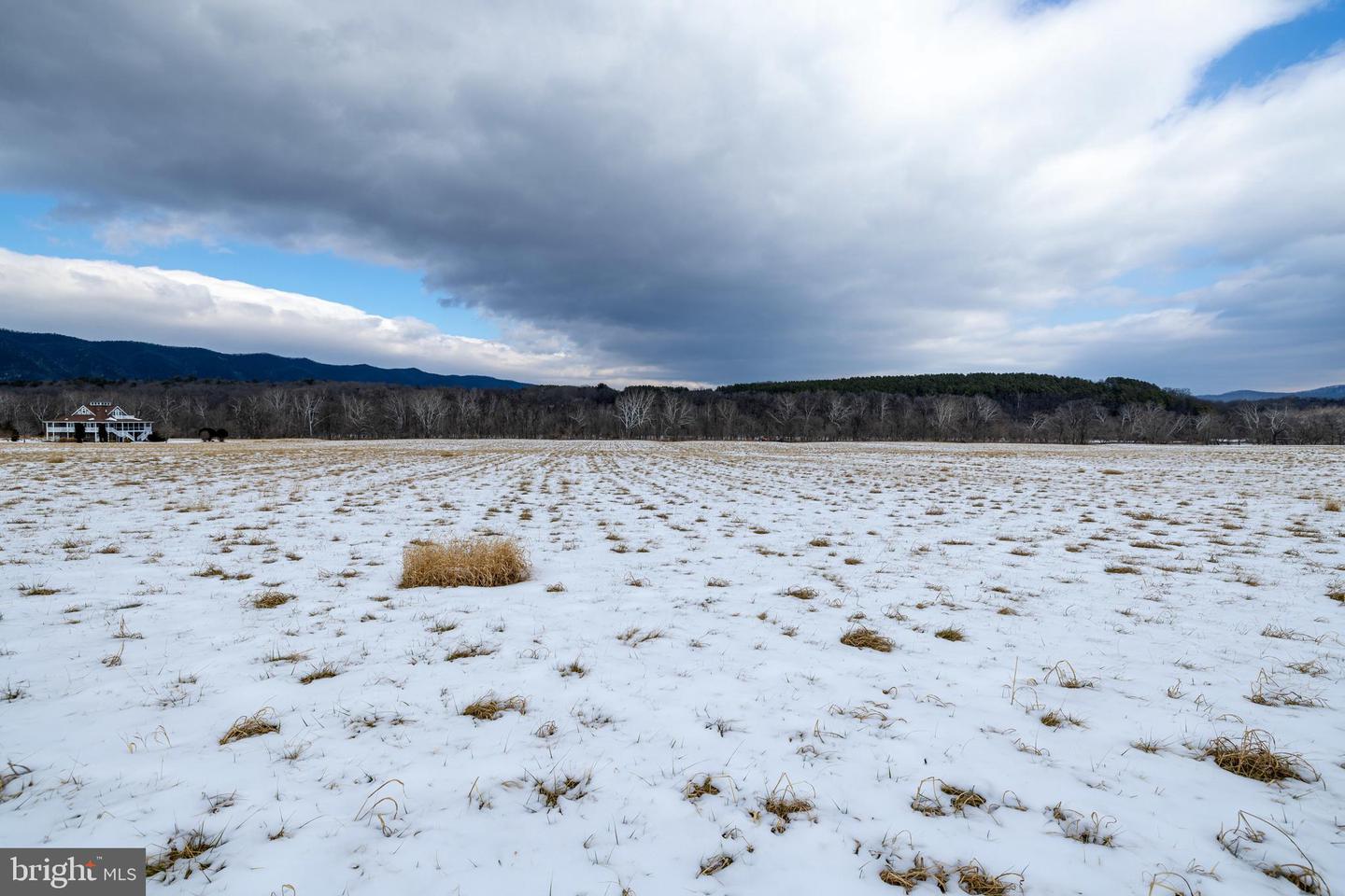 0 GOOD MILL RD, RILEYVILLE, Virginia 22650, ,Land,For sale,0 GOOD MILL RD,VAPA2006032 MLS # VAPA2006032