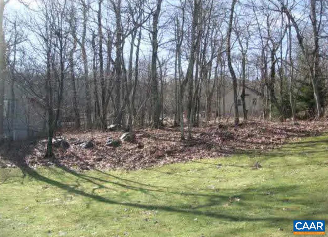 LOT 6 DEVILS BEND CT #6, WINTERGREEN, Virginia 22958, ,Land,For sale,LOT 6 DEVILS BEND CT #6,673234 MLS # 673234