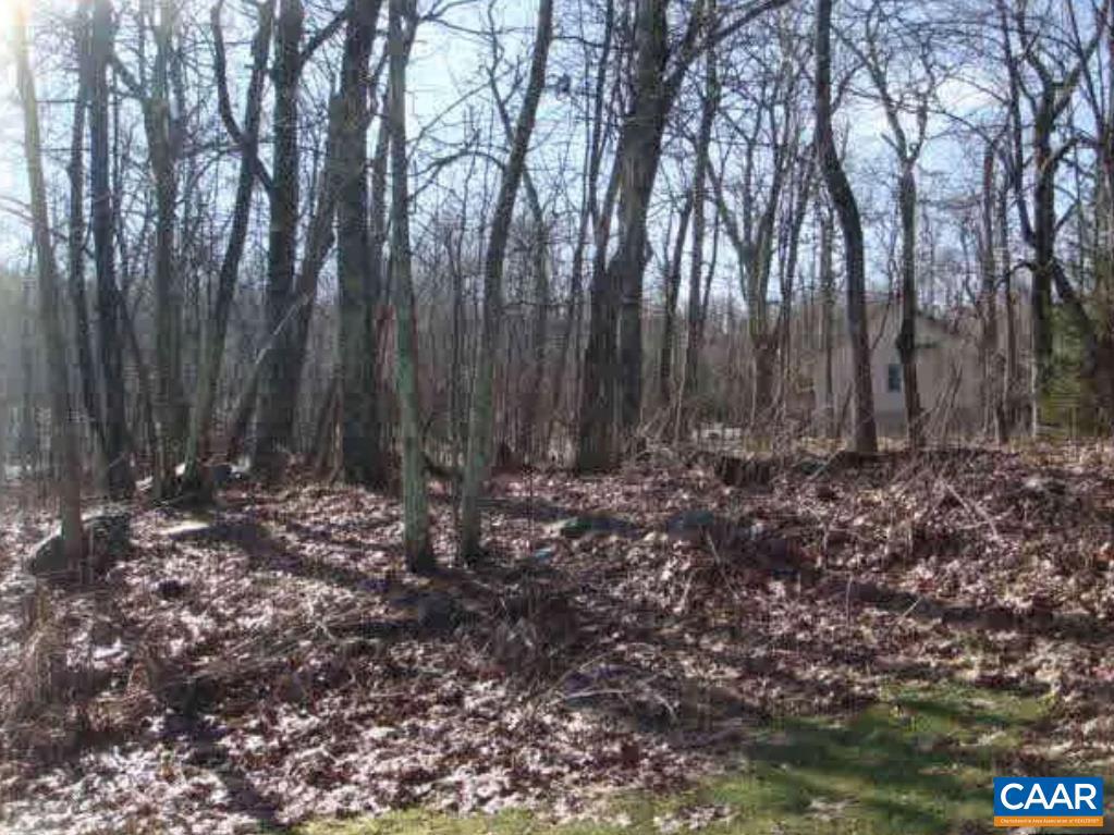 LOT 6 DEVILS BEND CT #6, WINTERGREEN, Virginia 22958, ,Land,For sale,LOT 6 DEVILS BEND CT #6,673234 MLS # 673234