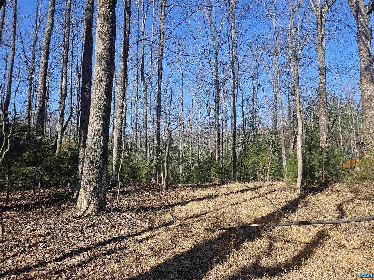 TBD LOT 56G TURKEY RIDGE RD #56G, STANARDSVILLE, Virginia 22973, ,Land,For sale,TBD LOT 56G TURKEY RIDGE RD #56G,673239 MLS # 673239