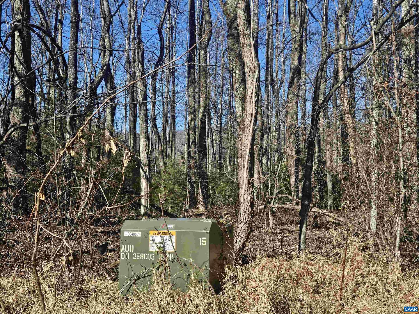 TBD LOT 56G TURKEY RIDGE RD #56G, STANARDSVILLE, Virginia 22973, ,Land,For sale,TBD LOT 56G TURKEY RIDGE RD #56G,673239 MLS # 673239