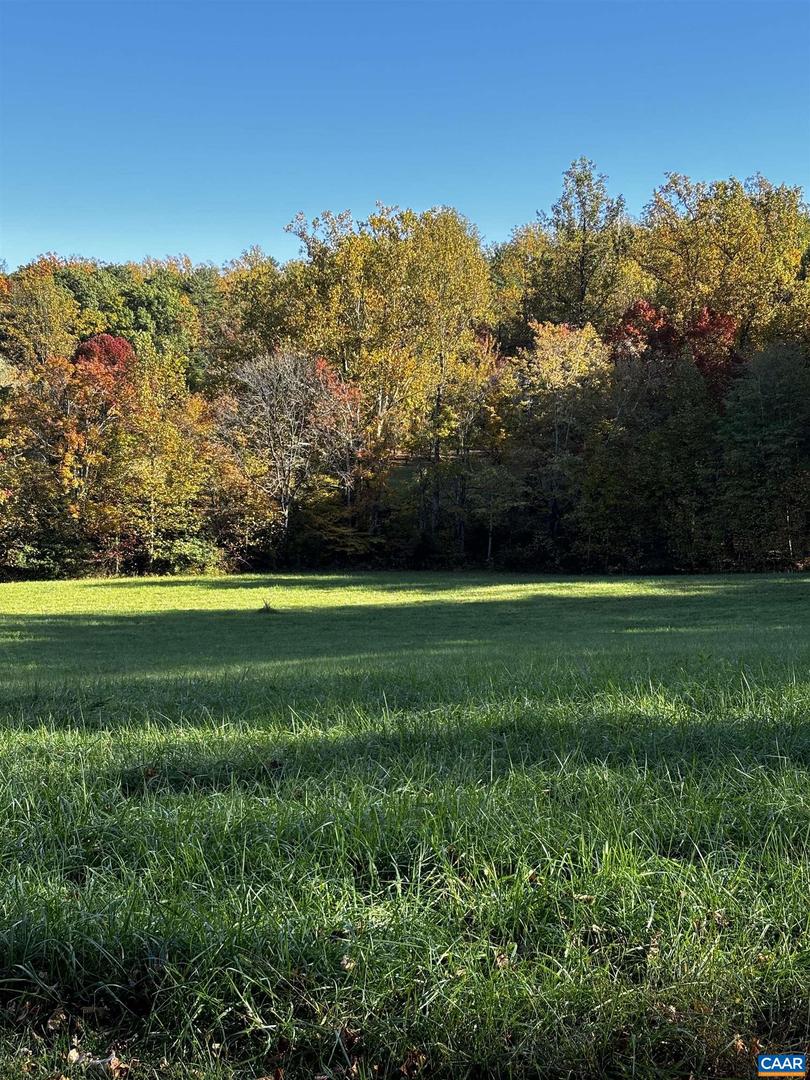 TBD LOT 56G TURKEY RIDGE RD #56G, STANARDSVILLE, Virginia 22973, ,Land,For sale,TBD LOT 56G TURKEY RIDGE RD #56G,673239 MLS # 673239