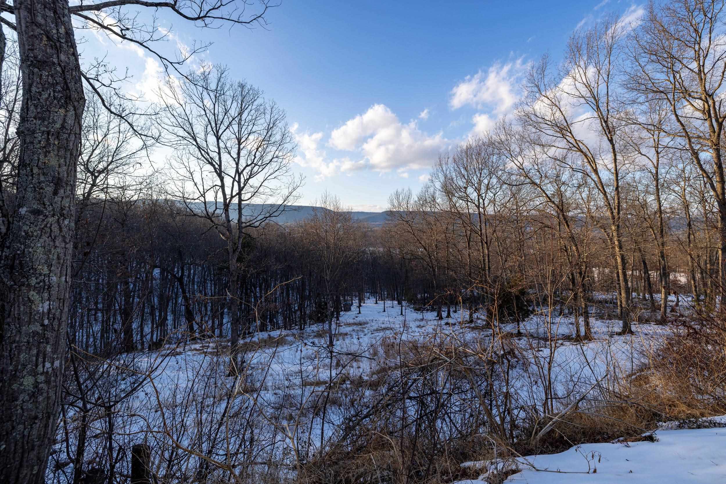 99 LAUREL LN, FORT VALLEY, Virginia 22652, 3 Bedrooms Bedrooms, ,1 BathroomBathrooms,Residential,99 LAUREL LN,673226 MLS # 673226 99 LAUREL LN, FORT VALLEY, Virginia 22652, 3 Bedrooms Bedrooms, ,1 BathroomBathrooms,Residential,99 LAUREL LN,673226 MLS # 673226