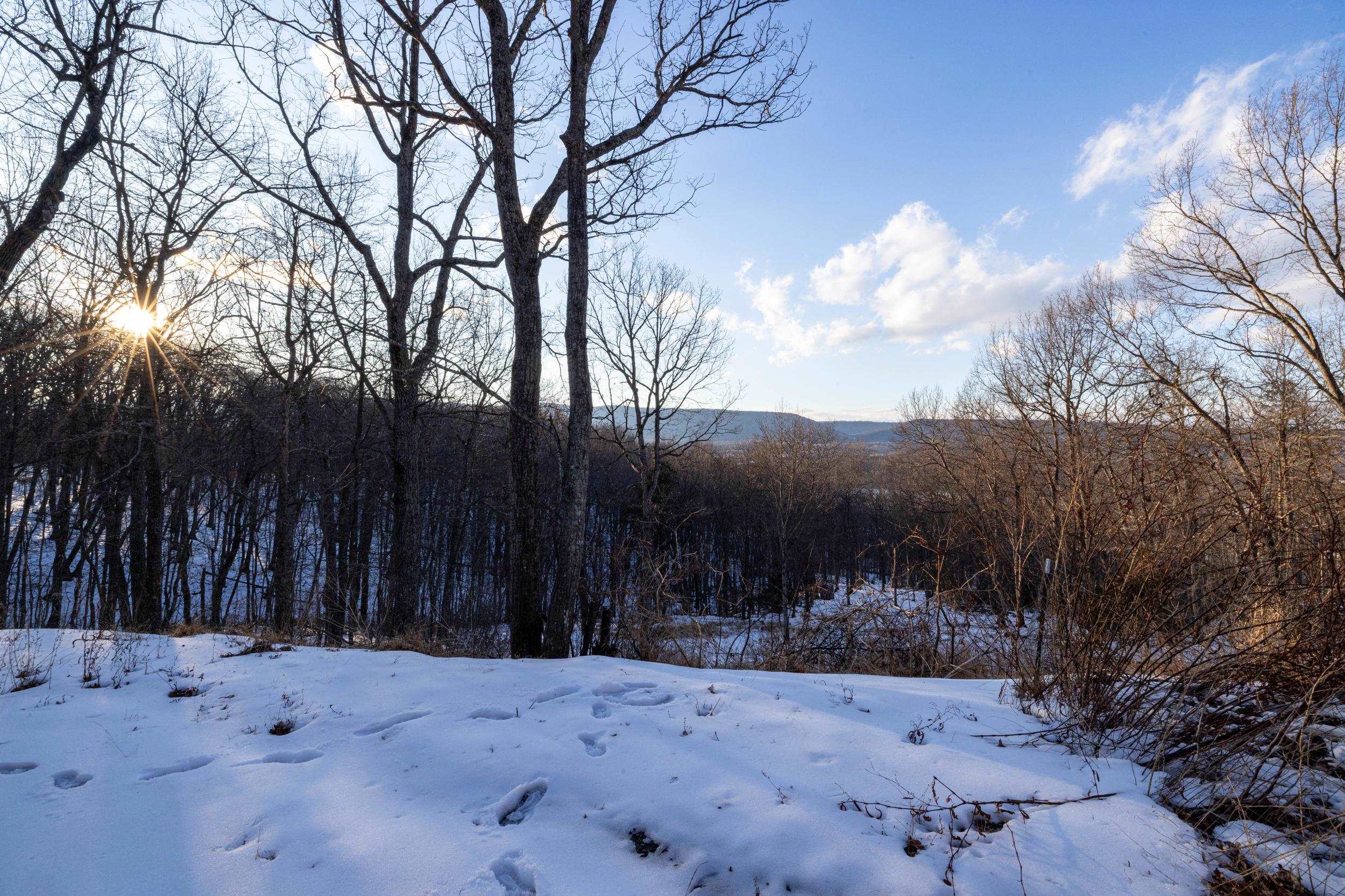 99 LAUREL LN, FORT VALLEY, Virginia 22652, 3 Bedrooms Bedrooms, ,1 BathroomBathrooms,Residential,99 LAUREL LN,673226 MLS # 673226 99 LAUREL LN, FORT VALLEY, Virginia 22652, 3 Bedrooms Bedrooms, ,1 BathroomBathrooms,Residential,99 LAUREL LN,673226 MLS # 673226