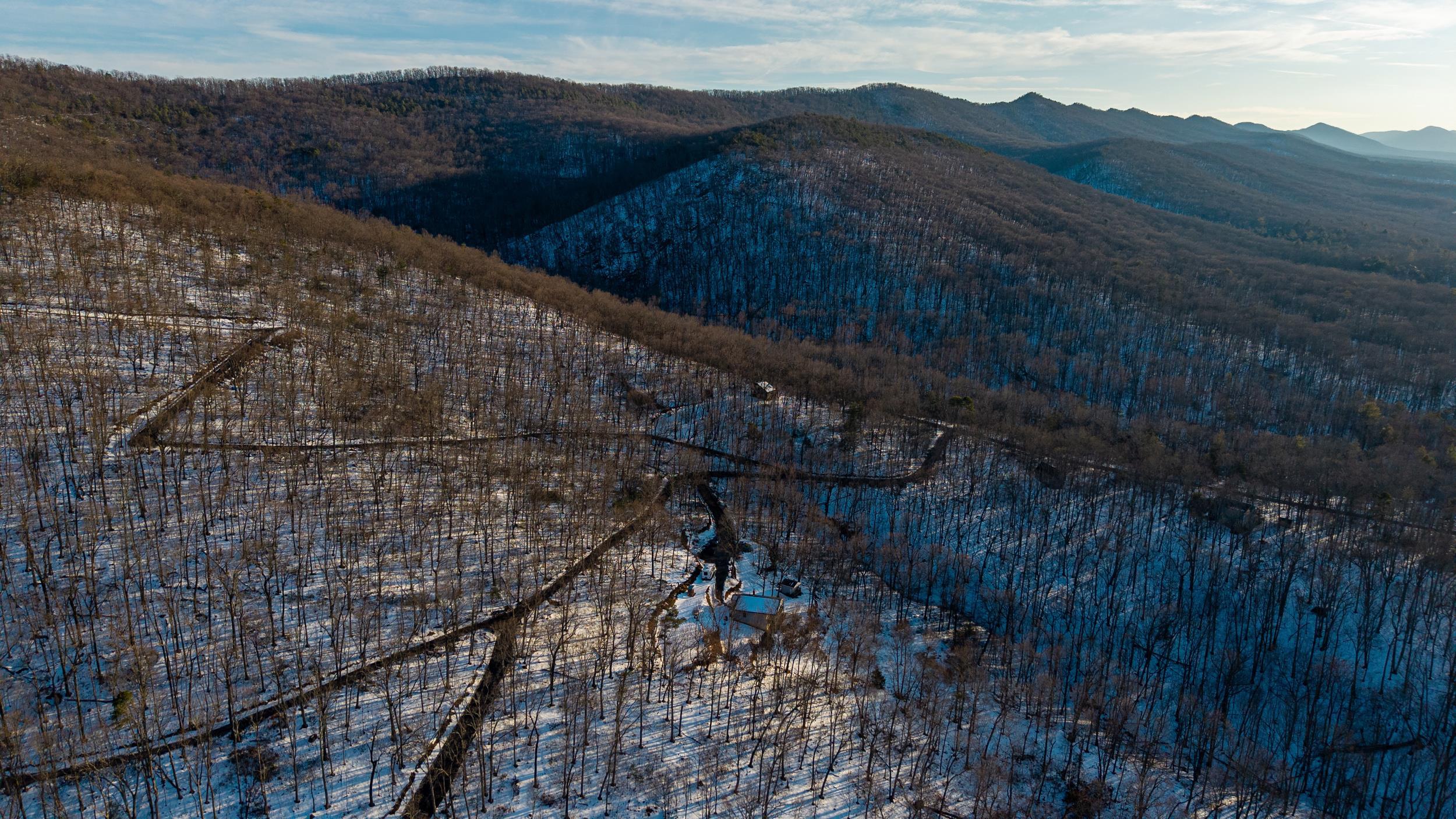 99 LAUREL LN, FORT VALLEY, Virginia 22652, 3 Bedrooms Bedrooms, ,1 BathroomBathrooms,Residential,99 LAUREL LN,673226 MLS # 673226 99 LAUREL LN, FORT VALLEY, Virginia 22652, 3 Bedrooms Bedrooms, ,1 BathroomBathrooms,Residential,99 LAUREL LN,673226 MLS # 673226