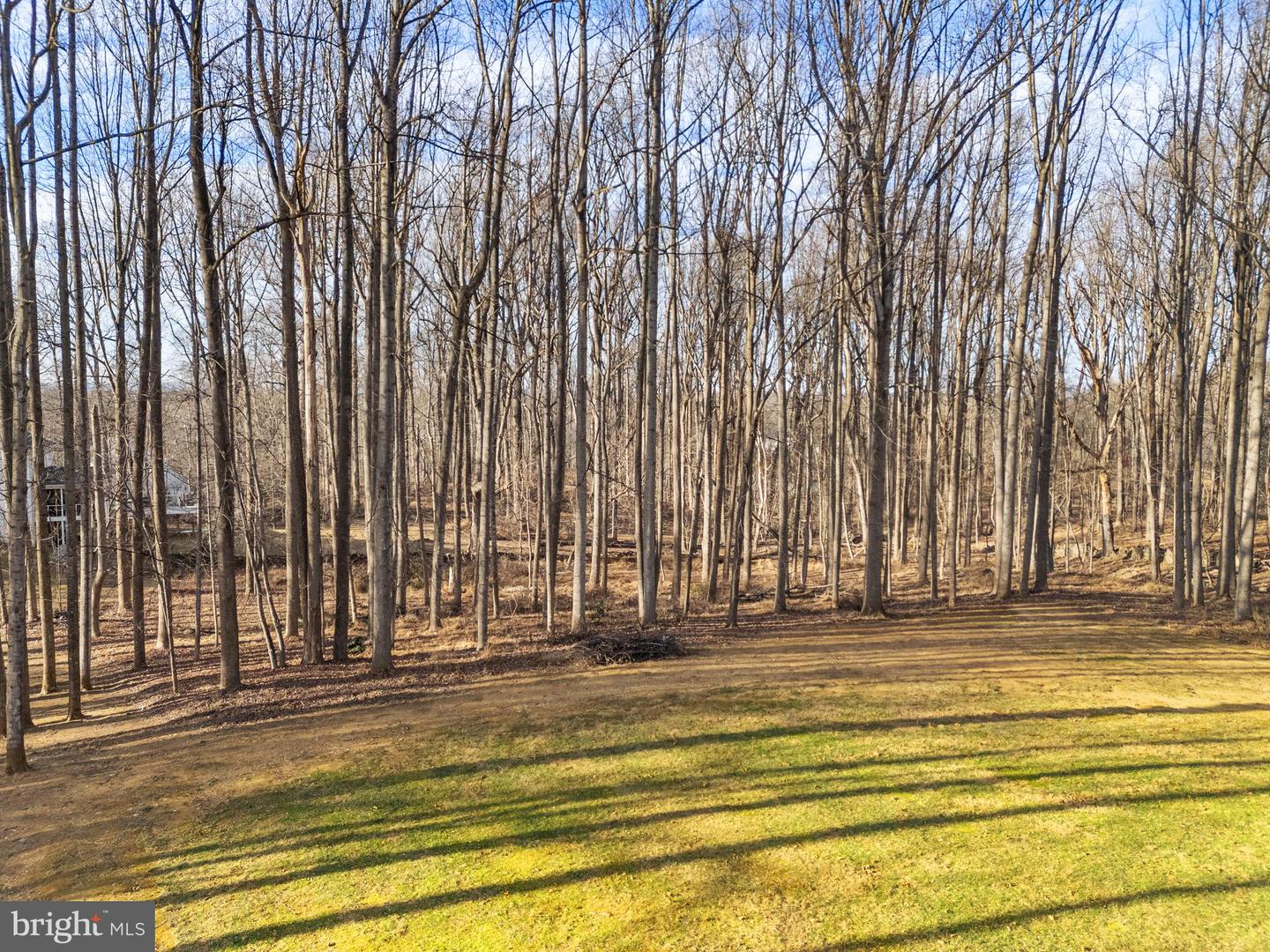 23650 GRASTY PL, MIDDLEBURG, Virginia 20117, 4 Bedrooms Bedrooms, ,4 BathroomsBathrooms,Residential,For sale,23650 GRASTY PL,VALO2114762 MLS # VALO2114762