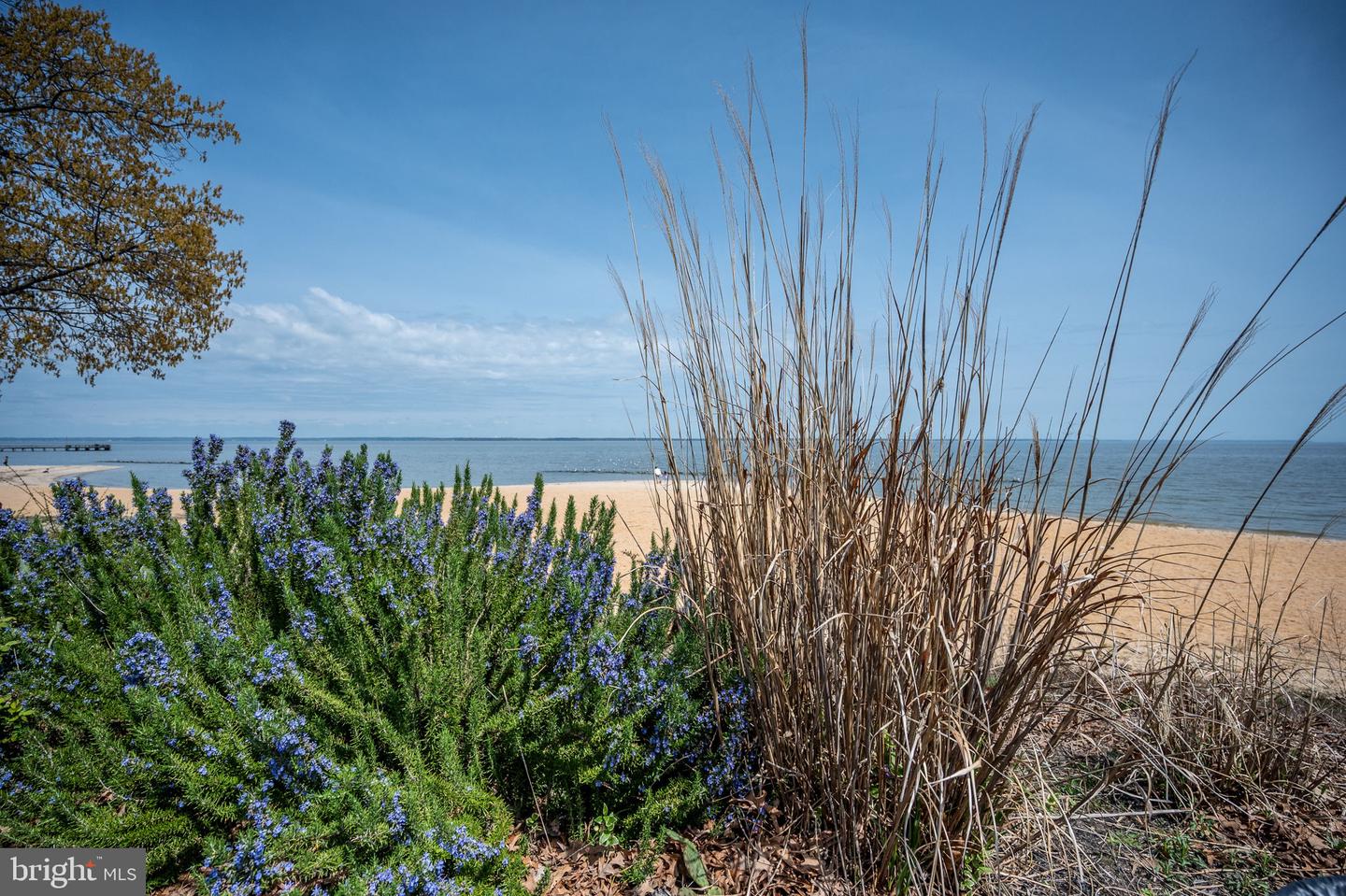 400 WIRT ST, COLONIAL BEACH, Virginia 22443, 2 Bedrooms Bedrooms, ,1 BathroomBathrooms,Residential,For sale,400 WIRT ST,VAWE2010478 MLS # VAWE2010478