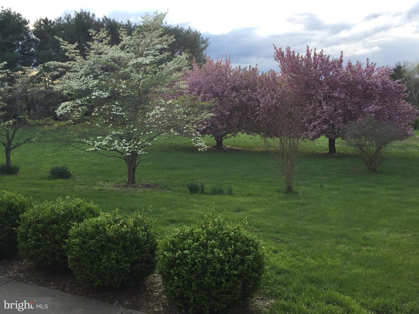 16764 HILLSBORO RD, PURCELLVILLE, Virginia 20132, 7 Bedrooms Bedrooms, ,6 BathroomsBathrooms,Residential,For sale,16764 HILLSBORO RD,VALO2115408 MLS # VALO2115408 16764 HILLSBORO RD, PURCELLVILLE, Virginia 20132, 7 Bedrooms Bedrooms, ,6 BathroomsBathrooms,Residential,For sale,16764 HILLSBORO RD,VALO2115408 MLS # VALO2115408