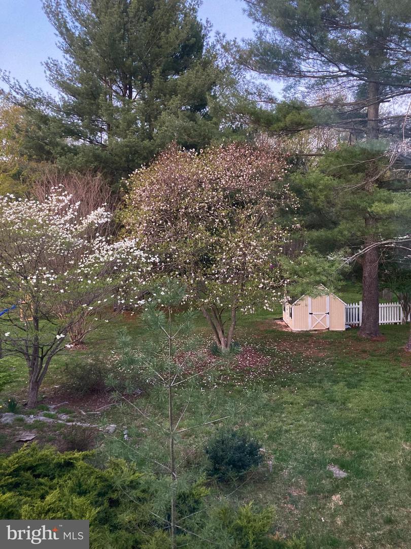 16764 HILLSBORO RD, PURCELLVILLE, Virginia 20132, 7 Bedrooms Bedrooms, ,6 BathroomsBathrooms,Residential,For sale,16764 HILLSBORO RD,VALO2115408 MLS # VALO2115408 16764 HILLSBORO RD, PURCELLVILLE, Virginia 20132, 7 Bedrooms Bedrooms, ,6 BathroomsBathrooms,Residential,For sale,16764 HILLSBORO RD,VALO2115408 MLS # VALO2115408