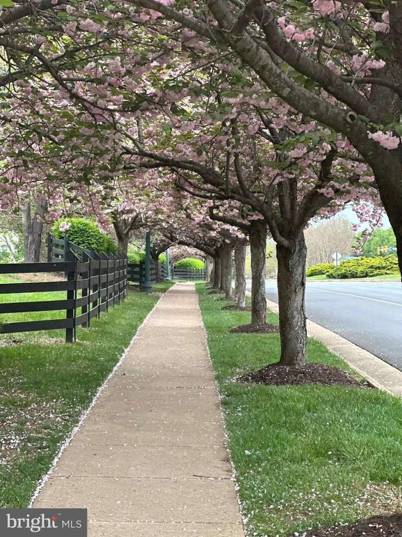 12458 HADRIANS CT, BRISTOW, Virginia 20136, 3 Bedrooms Bedrooms, ,3 BathroomsBathrooms,Residential,For sale,12458 HADRIANS CT,VAPW2112080 MLS # VAPW2112080