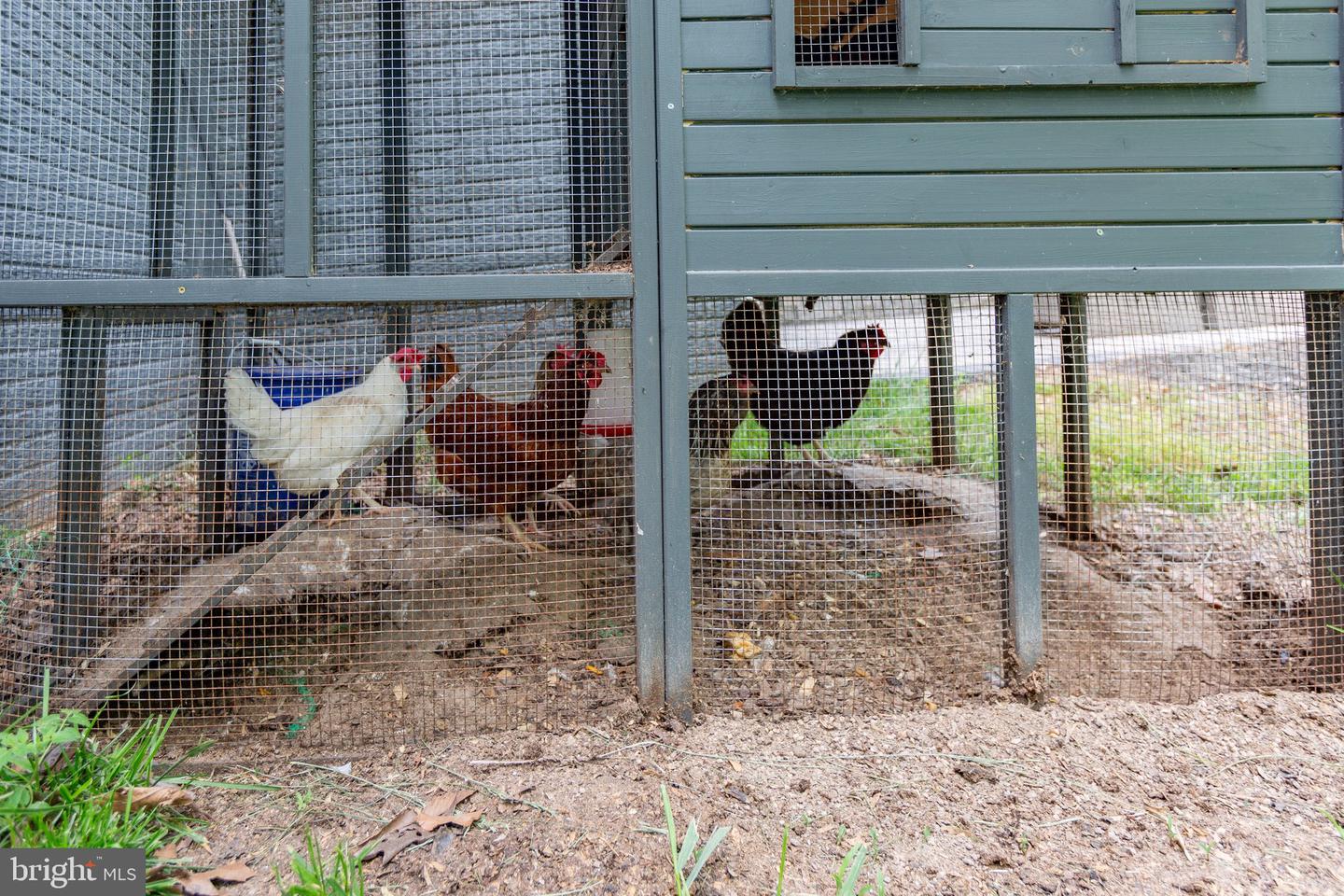 85 HOPEWELL DR, FREDERICKSBURG, Virginia 22406, 5 Bedrooms Bedrooms, ,3 BathroomsBathrooms,Residential,For sale,85 HOPEWELL DR,VAST2045920 MLS # VAST2045920